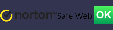 Norton Bizzlibrary Templates Website Safe Report