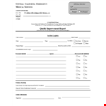 Initial Improvement Report - Agency Section | California | SEO Templates example document template