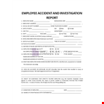 Employee Accident Investigation Report example document template