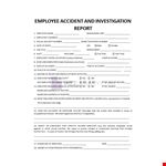Employee Accident Investigation Report example document template 