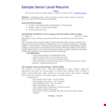 Senior Executive Level Resume example document template