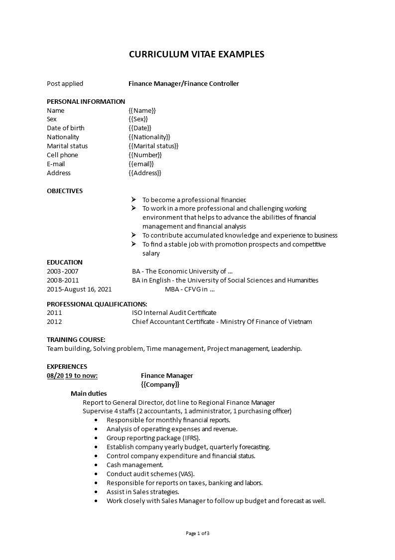 curriculum vitae example Main Image curriculum vitae example