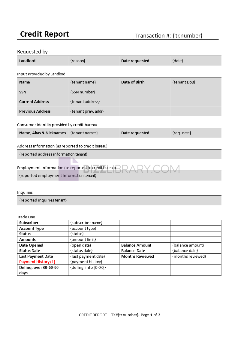 download credit report form template template