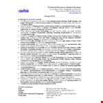 Technical Business Analyst Resume example document template