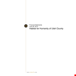 Nonprofit Financial Statements | Financial & Mortgage Organization example document template