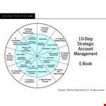 Strategic Account Management Plan example document template
