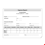 Expense Report Template - Create Comprehensive Reports for Your Company example document template