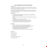 Chief Information Officer Job Description example document template