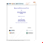 Professional Visit example document template