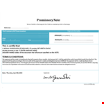 Get Paid on Time with Our Promissory Note Template - Secure Your Payments, Amount & Holder example document template