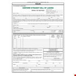 Straight Bol Template example document template