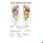 Basic Foot Reflexology Chart example document template