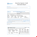 Business Credit Report example document template