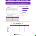 Digital Marketing Analysis Report Template example document template