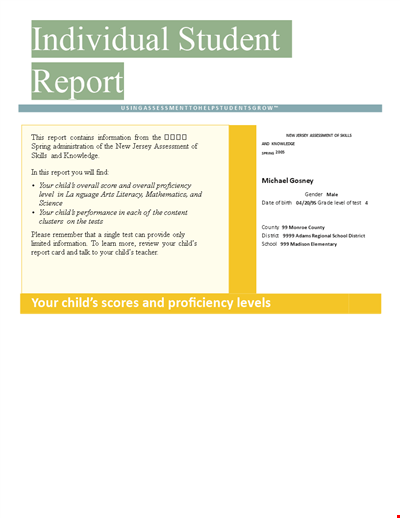 Individual Student Scores - Promoting Proficient Achievement in Formal Education