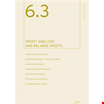 Professional Balance Sheet Template example document template