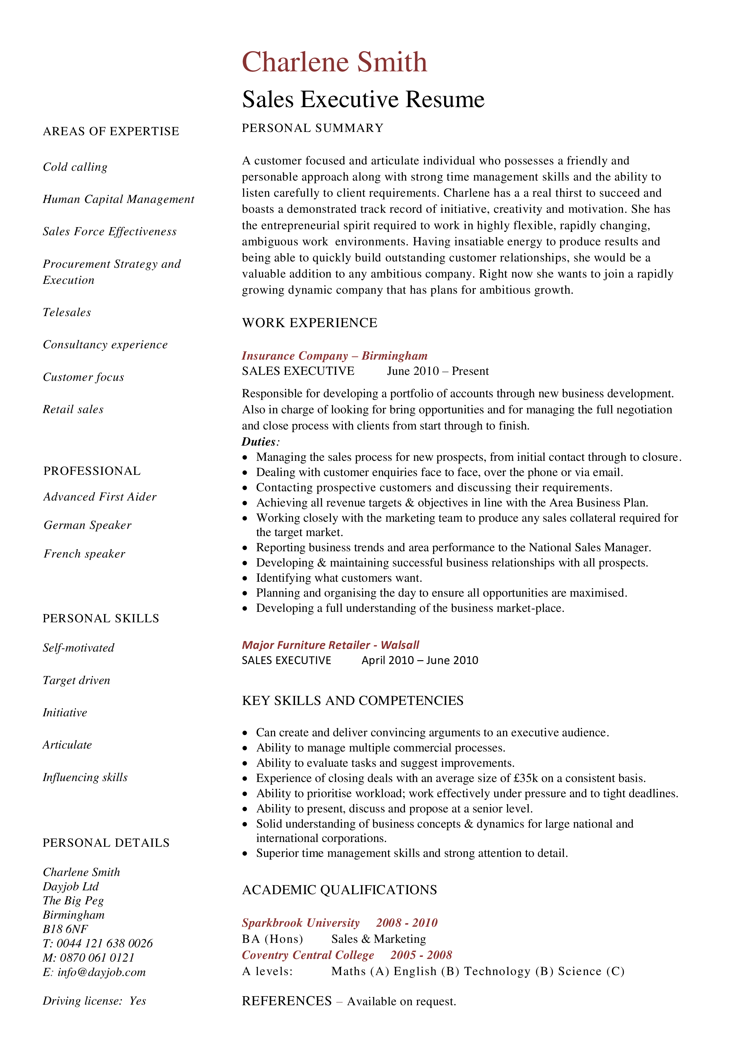 Sales Executive Resume Example