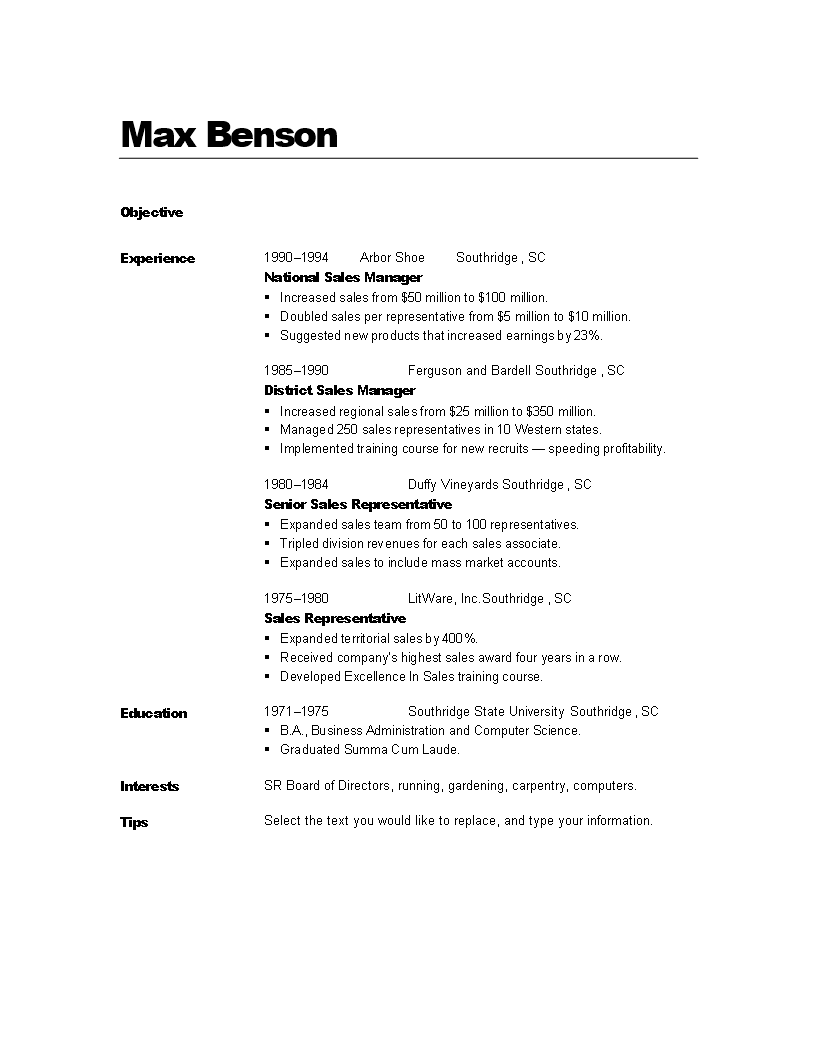 Modern Professional Resume Example