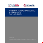 Example Of International Marketing Business Plan Template Scjghfkx example document template