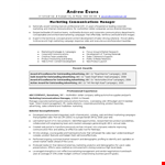 It Marketing Manager Resume example document template