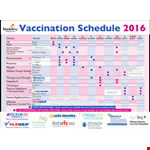 Vaccination Schedule Example in PDF format example document template