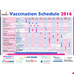 Vaccination Schedule Example in PDF format example document template 