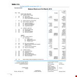 Vertical Balance Sheet Template example document template