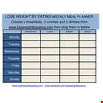 Weekly Diet Meal Planner Template example document template