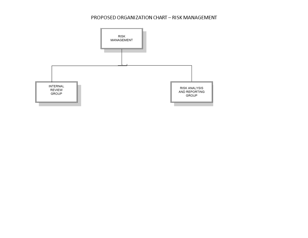 Risk Management Organization Chart Template