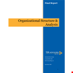 Organizational Structure Analysis Template example document template