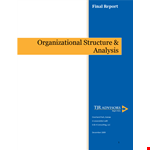 Organizational Structure Analysis Template example document template 