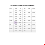 Workout Daily Schedule example document template