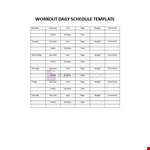 Workout Daily Schedule example document template 