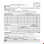 Free Expense Report Template for Employee Expenses - Download Now example document template
