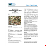 Create Professional Fact Sheets | Template for Plant and Hawaii example document template