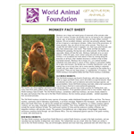Create Professional Fact Sheets for Monkeys and Other Animals - Fact Sheet Template example document template