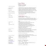 Experienced Sales Assistant with Finance Skills | Resume example document template