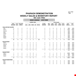 Weekly Sales And Inventory Report Sample example document template