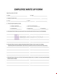 Write-Up Form