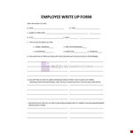 Write-Up Form example document template
