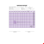 Expense Report Template example document template