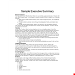 Effective Executive Summary Template for Office and Store Furniture example document template