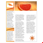 Professional Newsletter Template - Customizable & Easy to Edit | lorem ipsum example document template