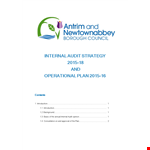 Internal Audit Action Plan example document template