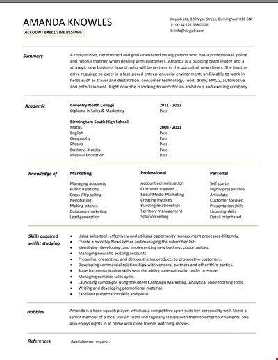 Download Resume Format for Accounts Executive | Marketing Skills | Dayjob