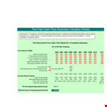 Discounted Cash Flow Company Valuation Example example document template 