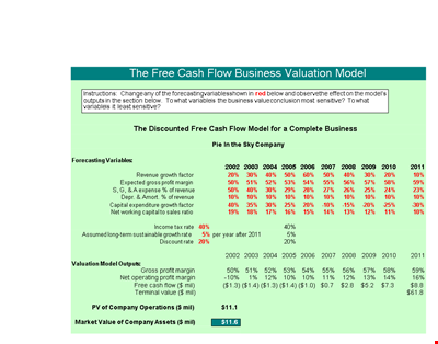 Discounted Cash Flow Company Valuation Example