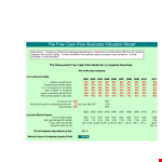 Discounted Cash Flow Company Valuation Example example document template