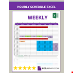 Free Hourly Schedule example document template