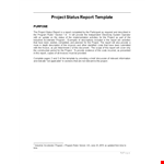 Project Status Report Template - Efficiently Provide Budget & Progress Report example document template